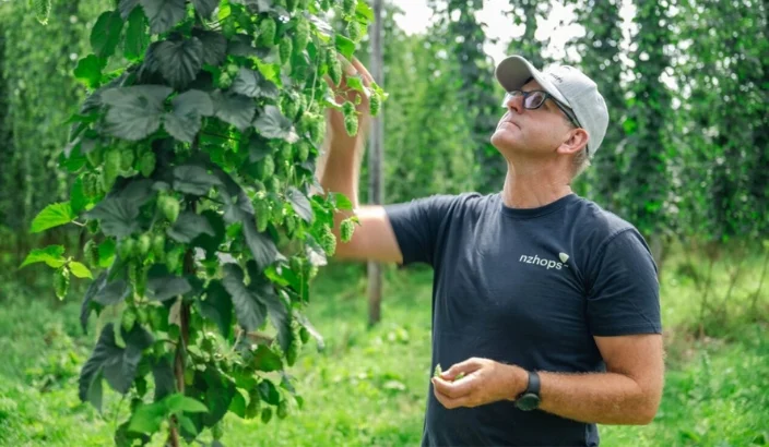 Tapawera grown Nectaron® named awards finalist