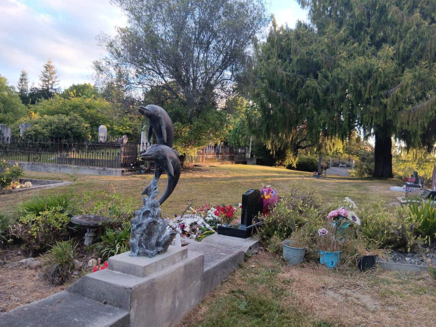 Dolphins disappear from son’s grave