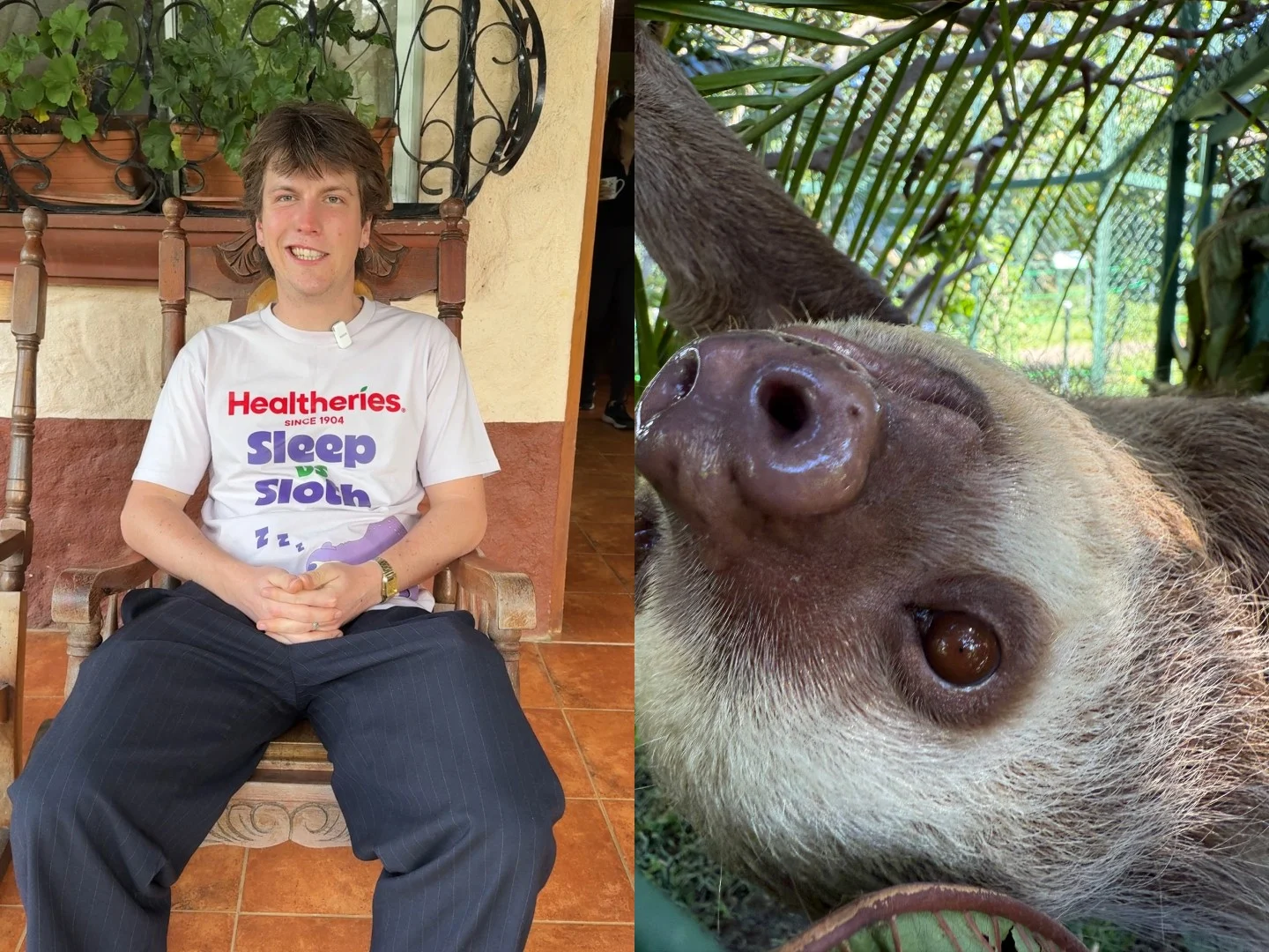 Outsleeping a sloth like a dream