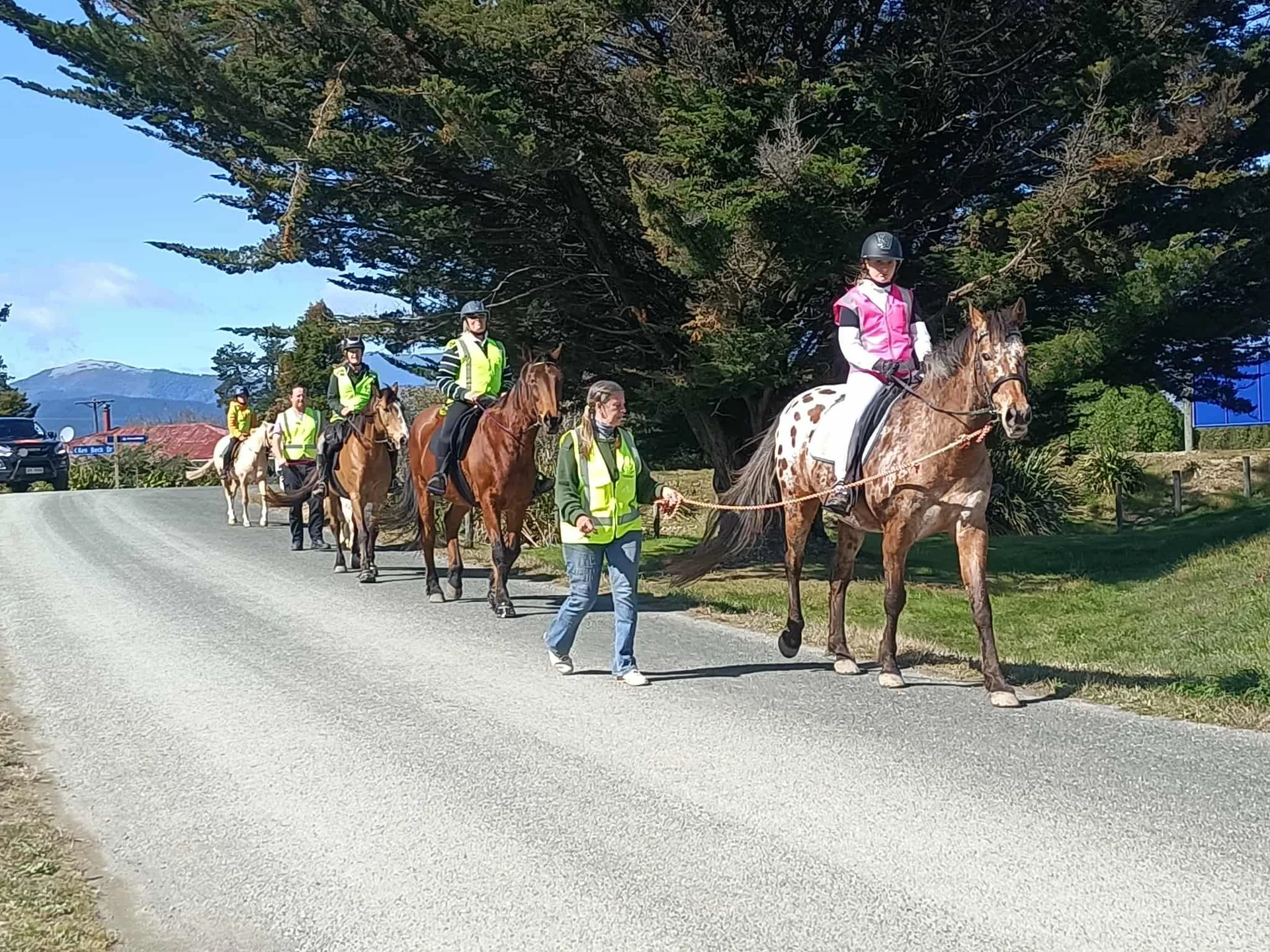 Neigh to uncouth drivers