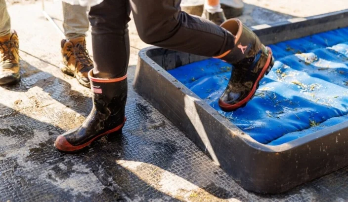 Why our future depends on taking biosecurity seriously today