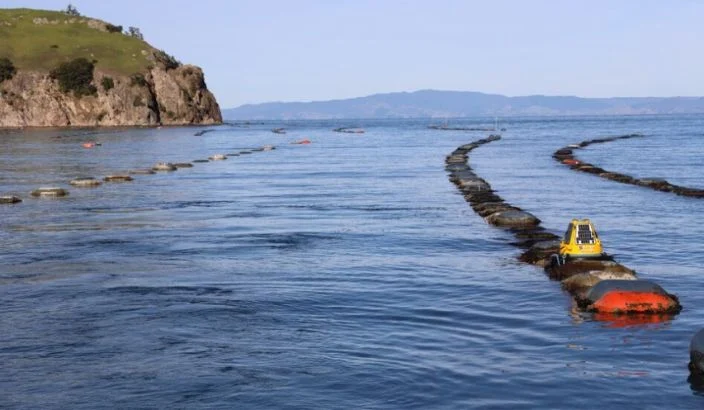 Cawthron’s Ocean Intelligence named finalist in innovation awards