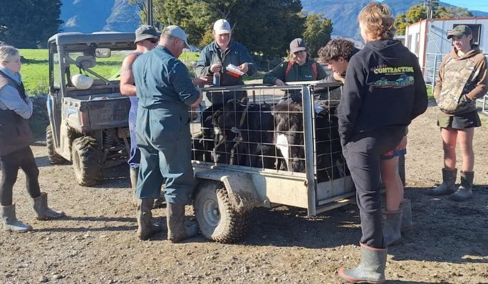 Golden Bay Federated Farmers update