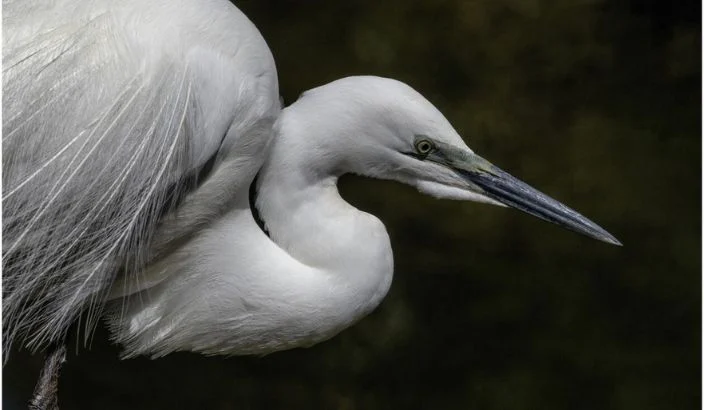 Motueka Camera Club snaps top prize at convention