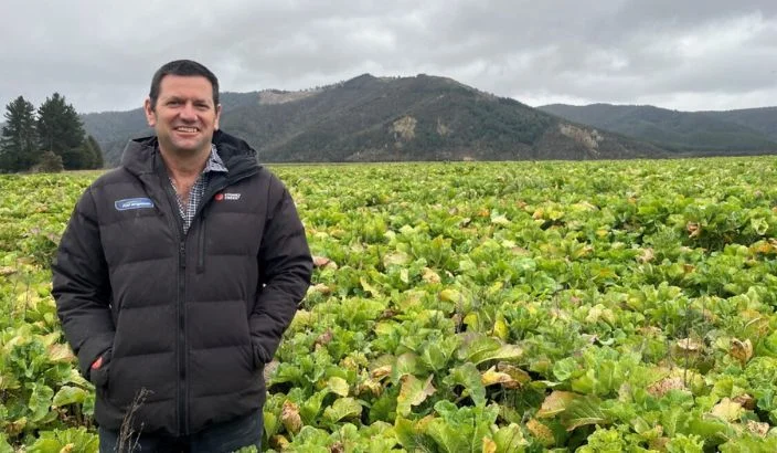 Getting Brassicas crops off to a strong start