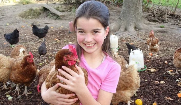 A future vet among the rescue chooks