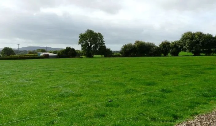 Spring soil health - Your underground workforce at work