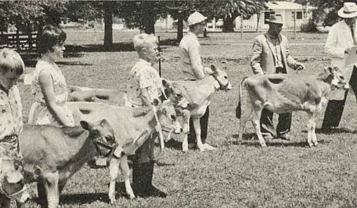 Rural training – agricultural clubs in school