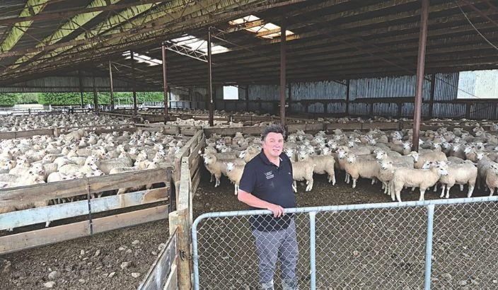 New programme brings better returns