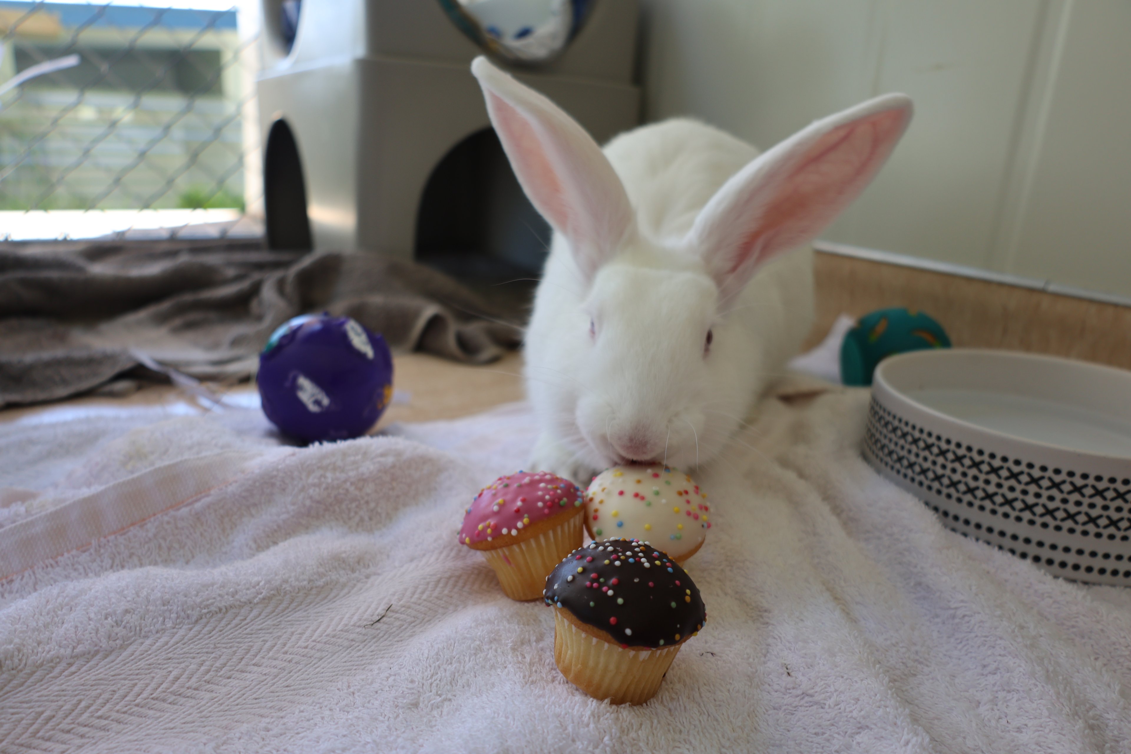 Life’s a little sweeter