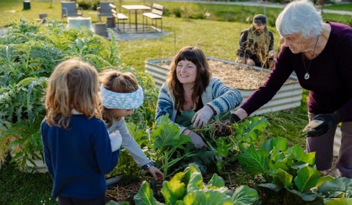 Exploring alternatives to ‘one-size-fits-all’ housing