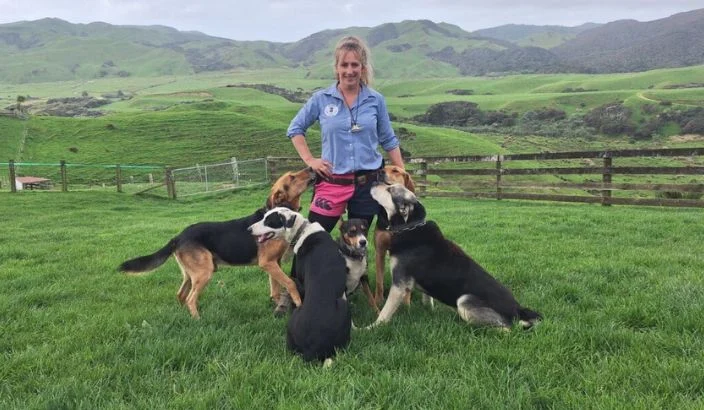 Catching the dog trial bug