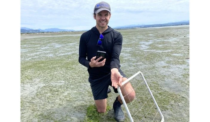 Seagrass restoration goes public