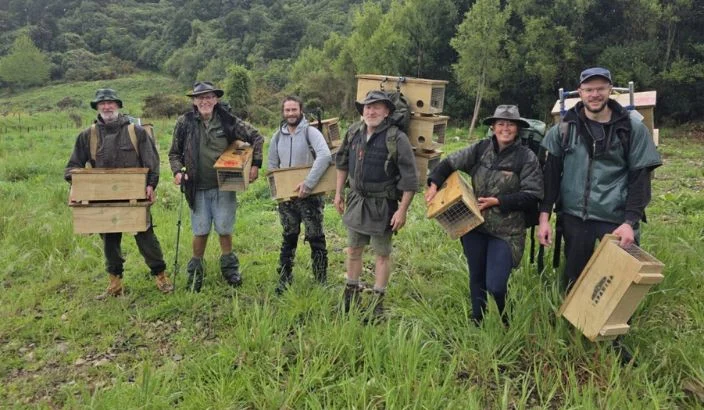 Bringing forest back to life