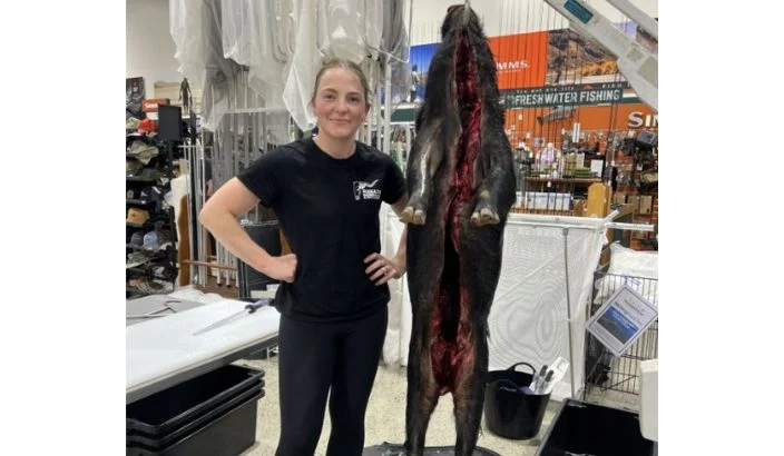 From country kid to capable butcher