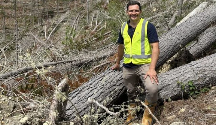 From destruction to collaboration