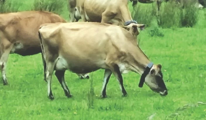 Embracing technology on the farm