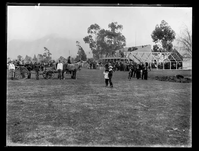 Golden Bay’s dramatic summer one hundred years ago