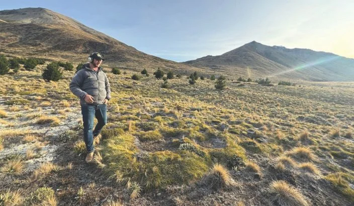 From grazing DOC land to wild pigs