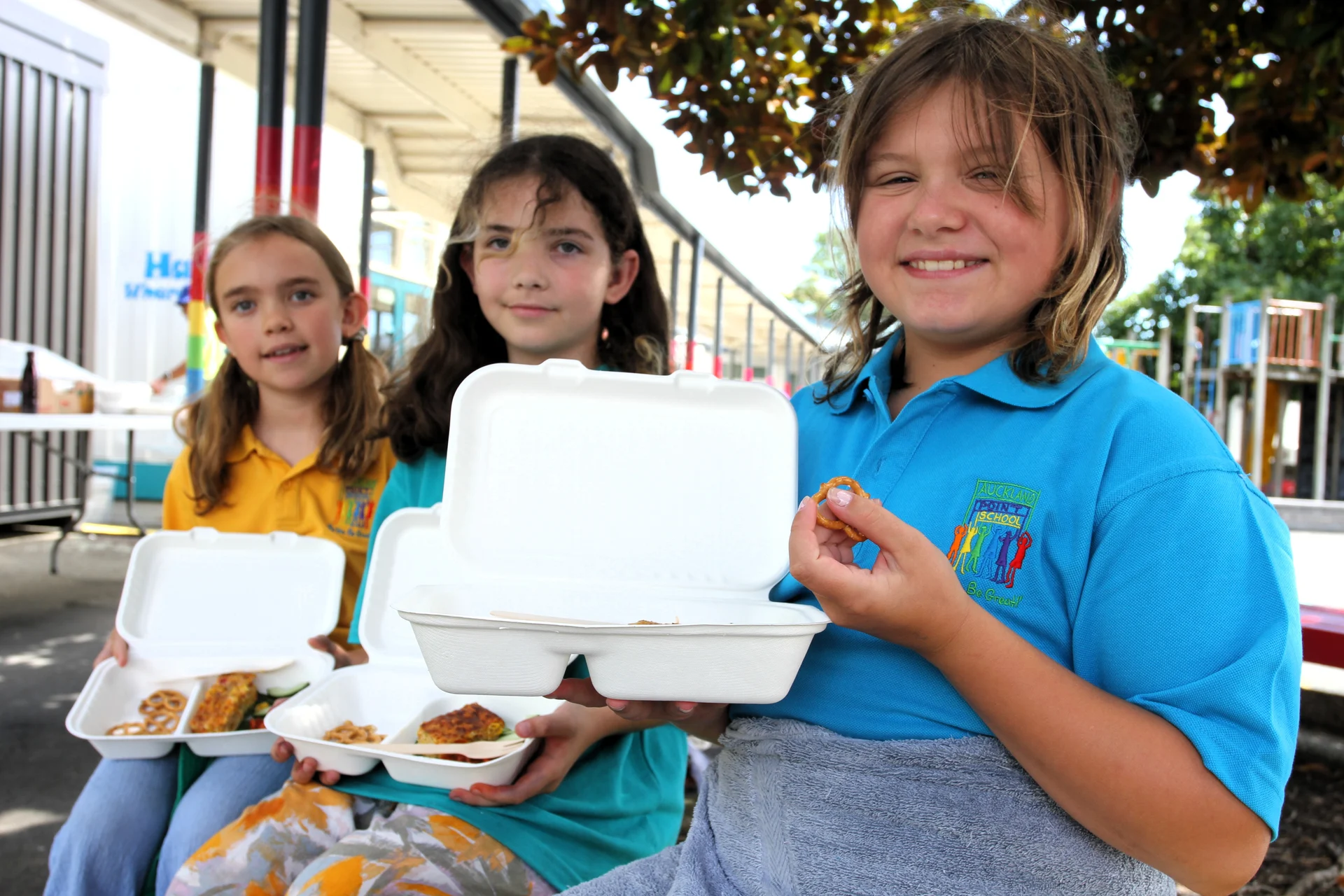 ‘It’s uneconomical’ - iwi provider of school lunches withdraws from programme
