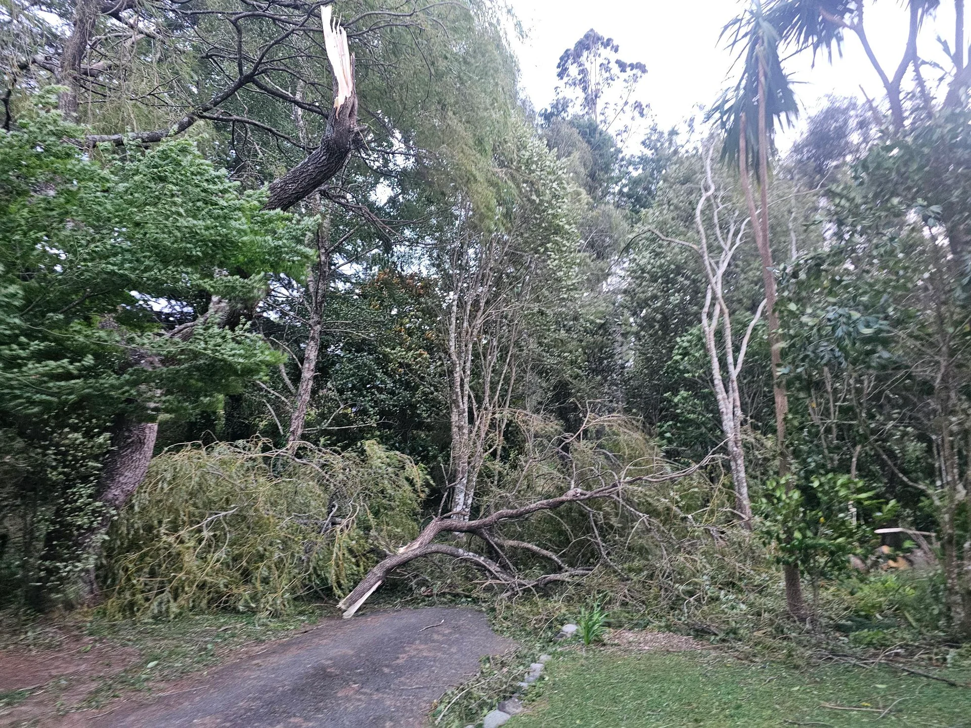 Wild winds batter Nelson