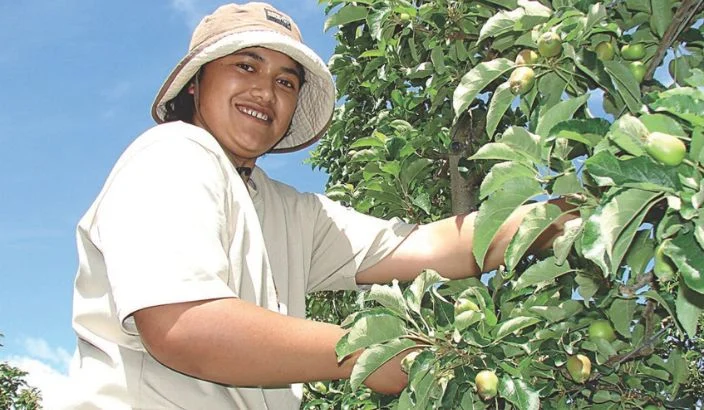 Seasonal work boosts job opportunities