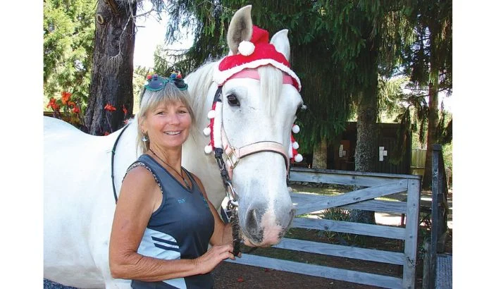 Stepping into the steward’s reins
