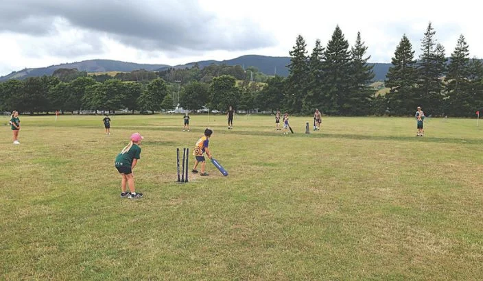 Machine ball cricket set to be rolled out again