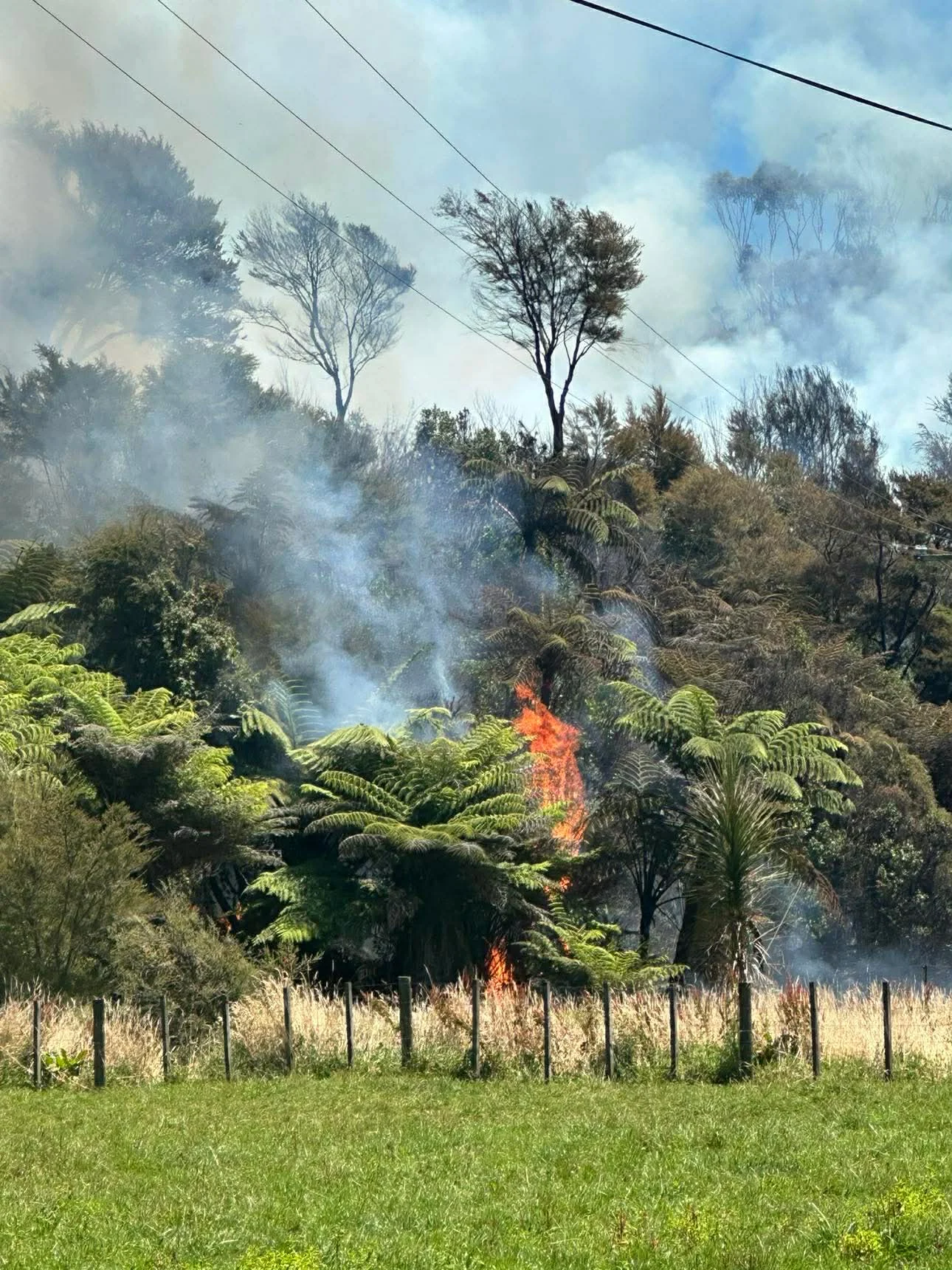 Fire at Paton’s Rock