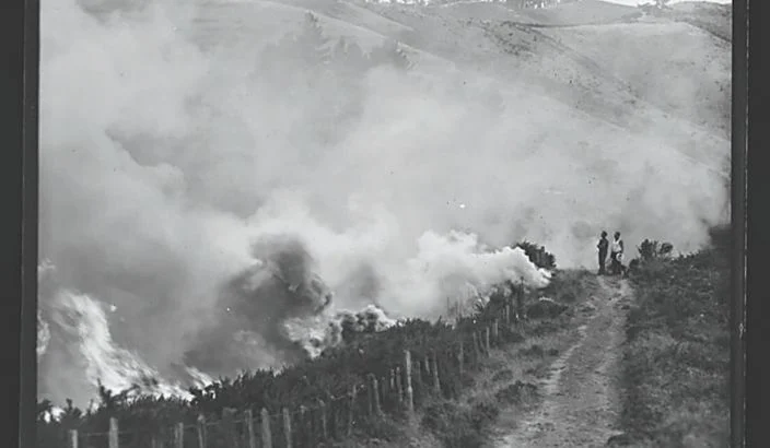 Drought, heat and fire take its toll