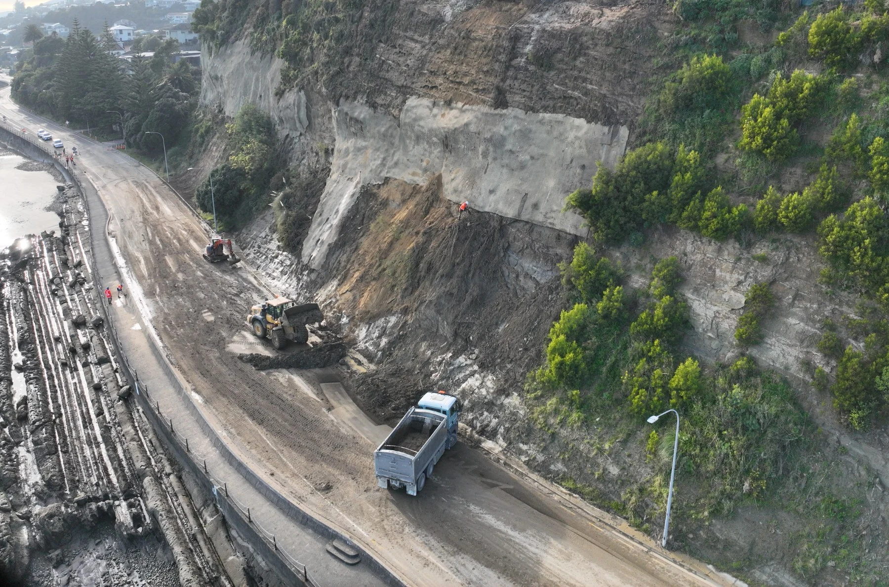 Protective mesh to be installed on Rocks Rd