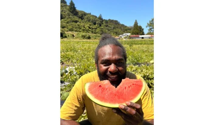 Watermelon crop bounces back after floods