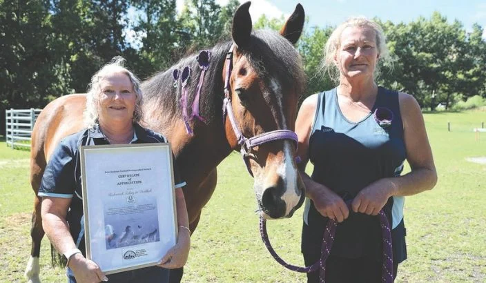 Purple Poppy Day Nelson 2026: Richmond RDA horses to lead war animal tribute