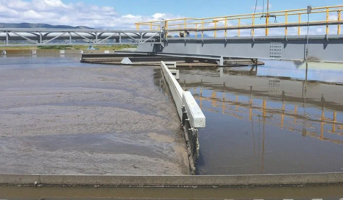 Waimea Inlet odour complaints delayed after heavy biosolids application on Rabbit Island