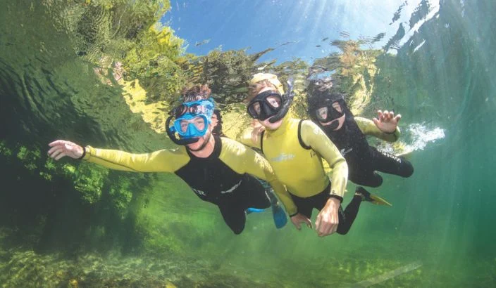 Community snorkel event on Waitapu awa
