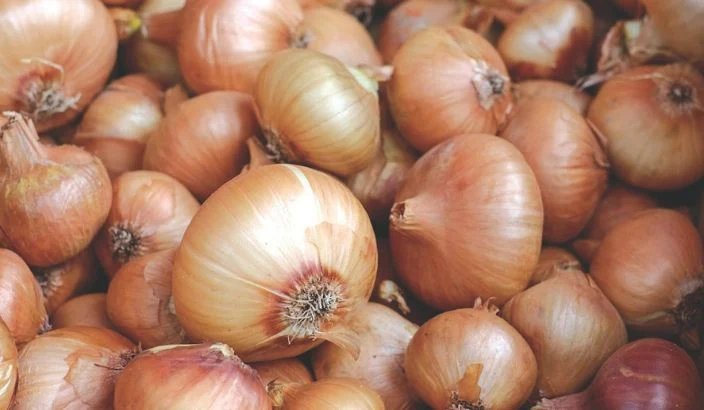 How local onions are lifted, cured and prepared for market