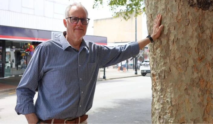 CBD trees removed for Bridge Street upgrade