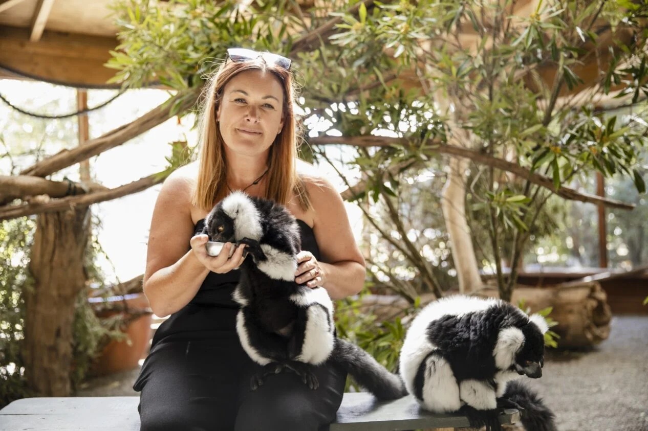 Up close with Natureland’s new lemur encounter