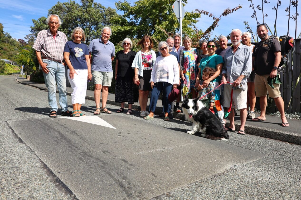 Speed bumps removed divide Tāhunanui Hills residents