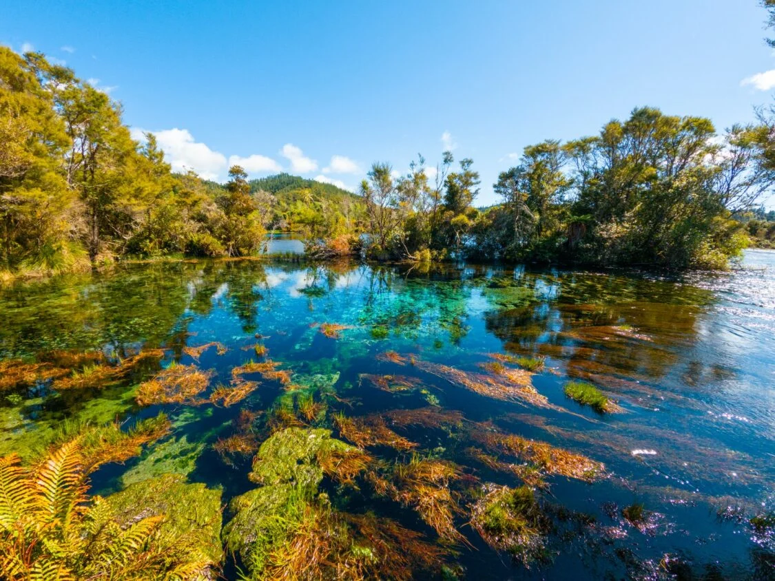 Tasman waits on approval for plan changes