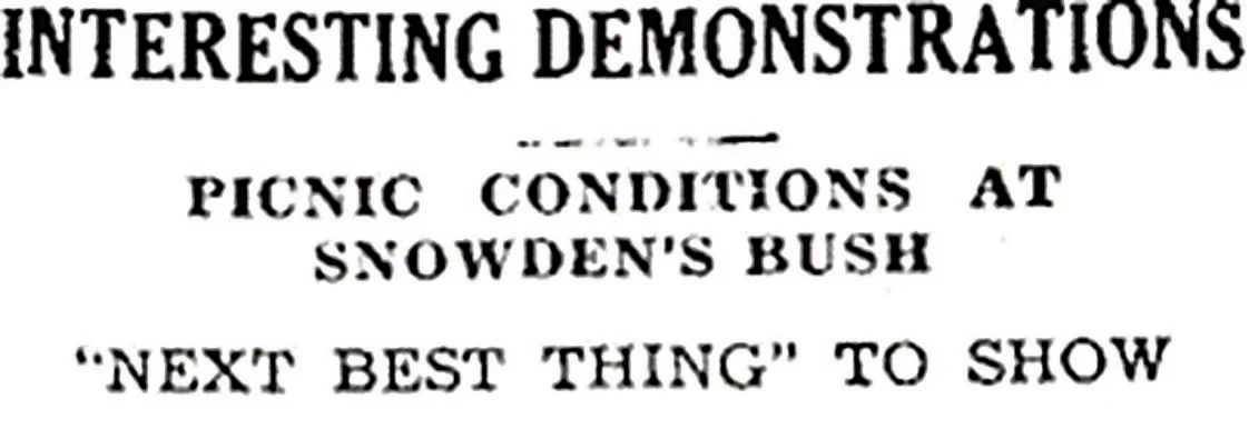 Wartime shutdown reshapes Nelson A and P Show