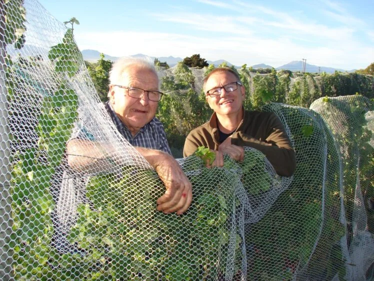 Hermann Seifried opens 2026 harvest