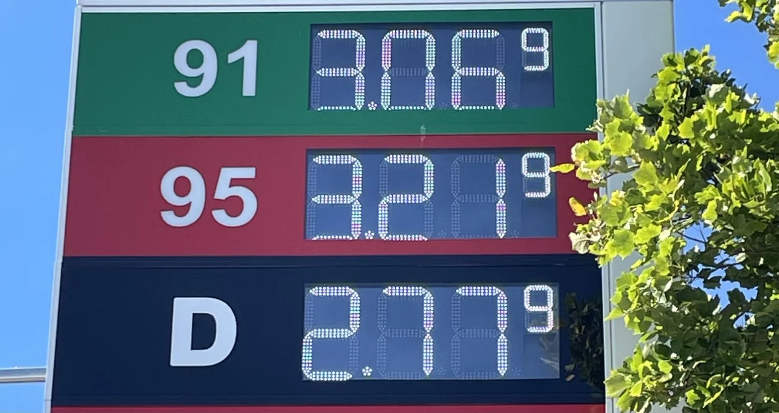 Fuel crisis dents Nelson economic recovery