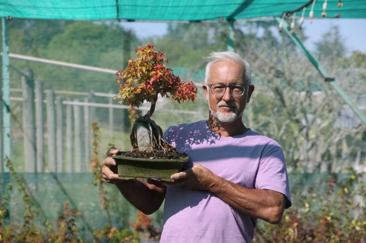 Riverside bonsai artist expands nursery operation