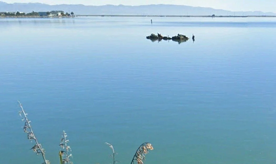 Nelson mudflat rifle range history