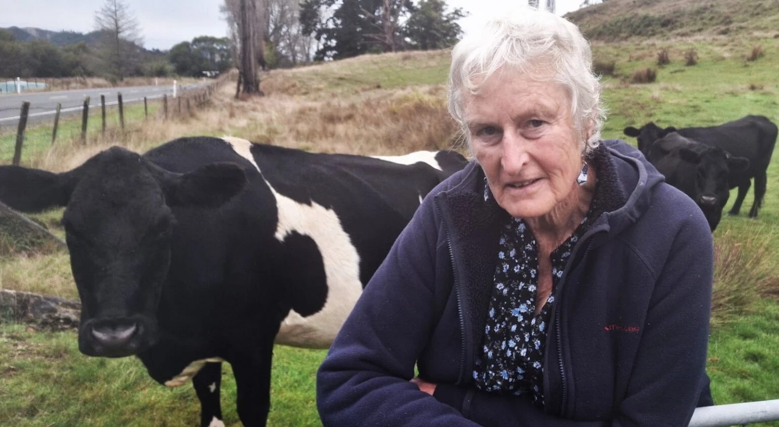 Lotto ticket after being hit by cyclist