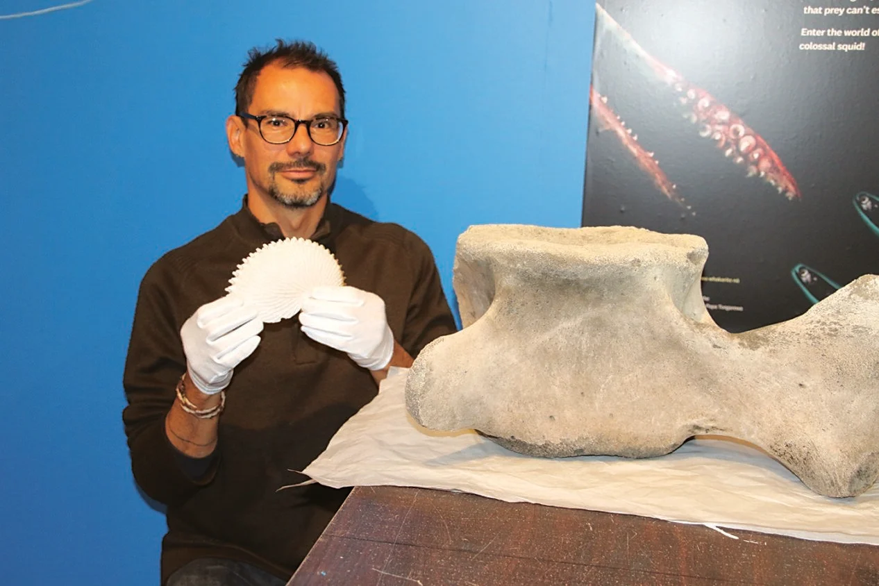 Colossal squid exhibition in Motueka