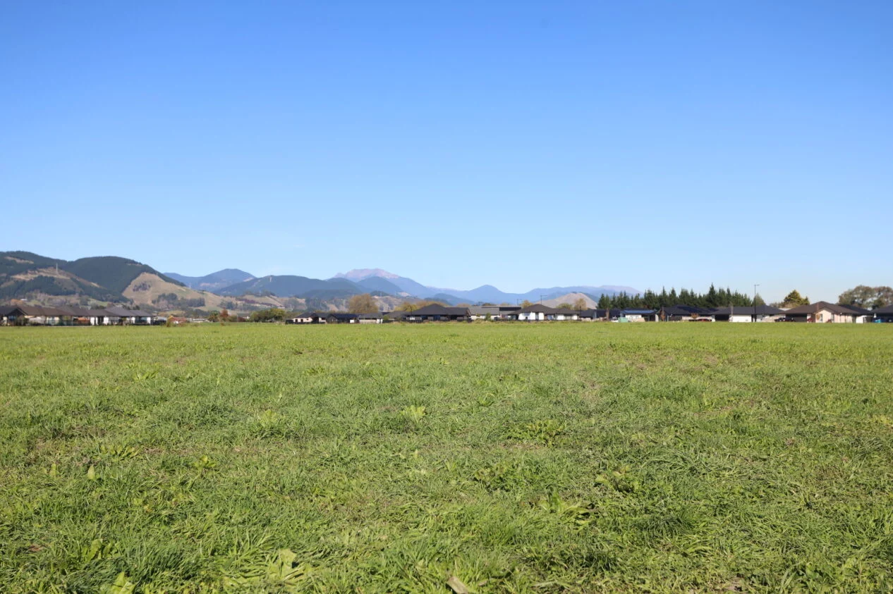 Ranzau School relocation plans scrapped