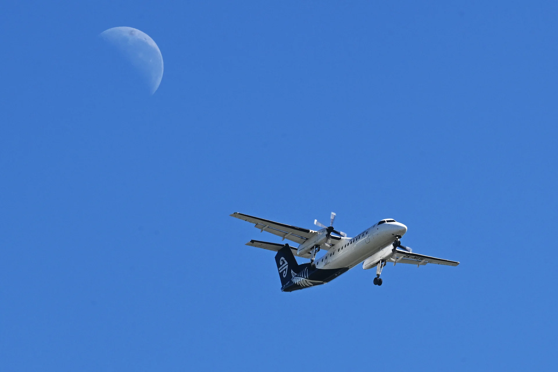 Further cuts to Air NZ Nelson flights