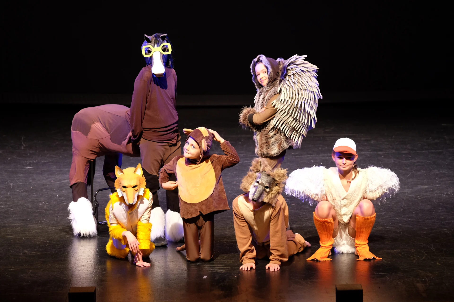 REVIEW: Dr Doolittle Jr